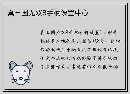 真三国无双8手柄设置中心